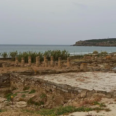 Casa Tarifeña *