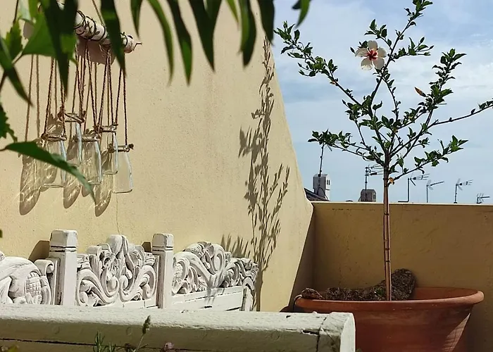 Casa Tarifena * تريفة